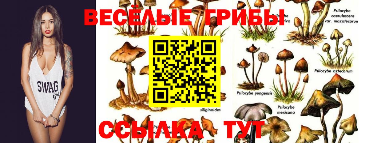 Галлюциногенные грибы Magic Shrooms  Псилоцибиновые грибы Magic Shrooms  Вход с VPN  Кумертау 